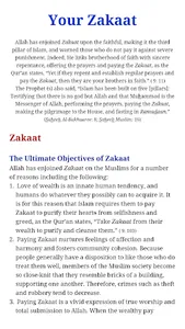 Wealth in Islam (Book) screenshot 14
