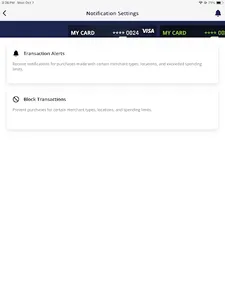 Neches Credit Card screenshot 16