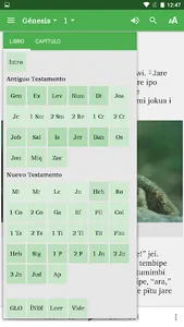 Western Guaraní Bible screenshot 5