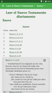 Western Guaraní Bible screenshot 6