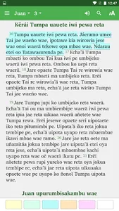 Western Guaraní Bible screenshot 7