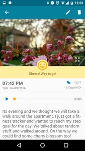 Mirror (Diary, Journal) screenshot 5