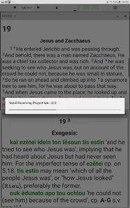 Paratext Lite screenshot 6