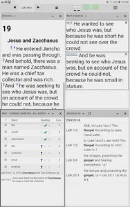 Paratext Lite screenshot 7