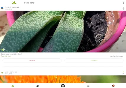 PlantNet Plant Identification screenshot 11