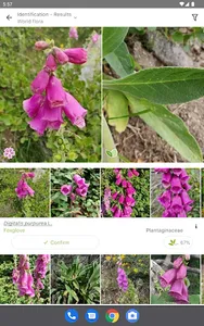 PlantNet Plant Identification screenshot 5