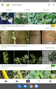 PlantNet Plant Identification screenshot 6