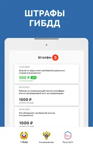 Мои Штрафы ГИБДД с фотографией screenshot 17