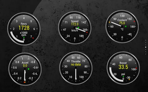 Torque Pro (OBD 2 & Car) screenshot 10