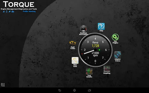 Torque Pro (OBD 2 & Car) screenshot 12