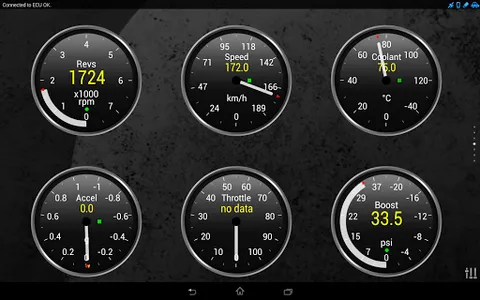 Torque Pro (OBD 2 & Car) screenshot 13