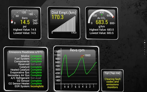 Torque Pro (OBD 2 & Car) screenshot 9