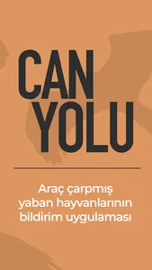 Can Yolu screenshot 1