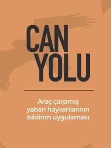 Can Yolu screenshot 11