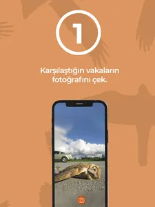 Can Yolu screenshot 12