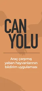 Can Yolu screenshot 6