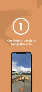 Can Yolu screenshot 7