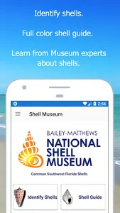 Shell Museum: Identify Shells screenshot 0