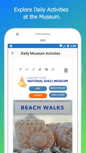 Shell Museum: Identify Shells screenshot 5