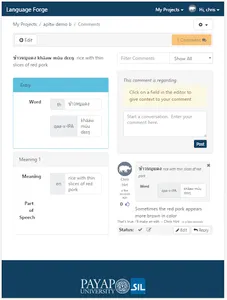 Language Forge screenshot 9