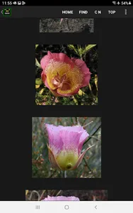 SMM WildFlowers screenshot 10