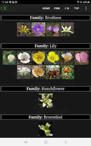 SMM WildFlowers screenshot 9