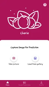 Cherie - Guatemala screenshot 4