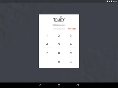 TruityCU screenshot 4
