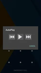 AutoPlay™ screenshot 0