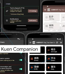 詠春拳良伴 Ving Tsun Kuen Companion screenshot 1