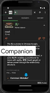 詠春拳良伴 Ving Tsun Kuen Companion screenshot 4