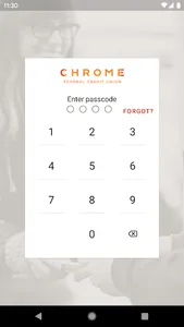 CHROME FCU screenshot 0