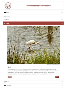 WGP screenshot 8