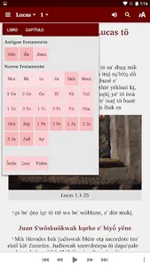 Bribri Bible screenshot 4