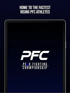 Peak Fighting screenshot 4