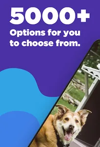 Outdoor Dog House screenshot 1
