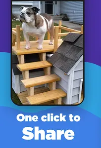 Outdoor Dog House screenshot 3