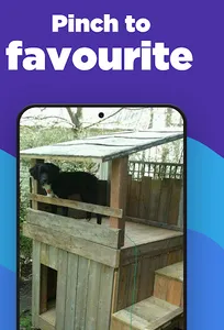 Outdoor Dog House screenshot 4