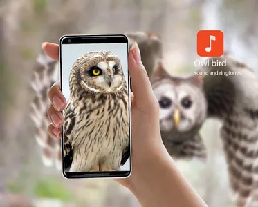 Owl Bird Sounds screenshot 0