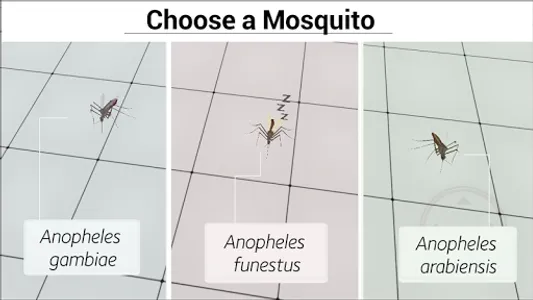 The Life Cycle of Malaria screenshot 0