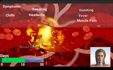 The Life Cycle of Malaria screenshot 2