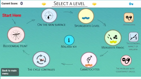 The Life Cycle of Malaria screenshot 5