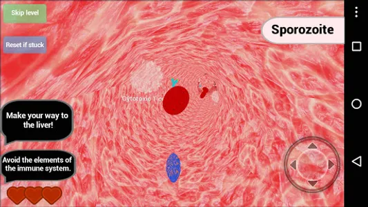 The Life Cycle of Malaria screenshot 7