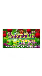 Radio Panambi 91.7 FM screenshot 0