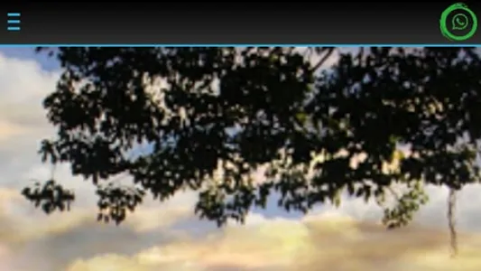 PANTANAL PARAGUAYO FM 90.5 screenshot 0