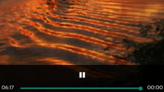 PANTANAL PARAGUAYO FM 90.5 screenshot 3