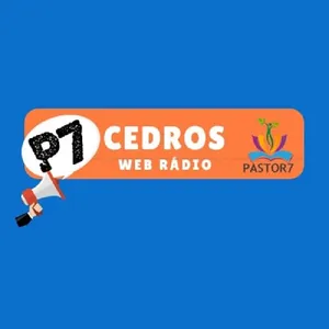 PASTOR7 screenshot 11