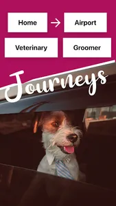 Pcab: Pet Friendly Taxi screenshot 4