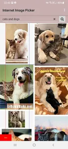 Internet Image Picker screenshot 1