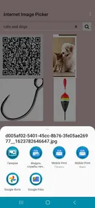 Internet Image Picker screenshot 3